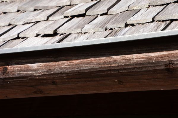 Wood Gutter Service in Saint Johns