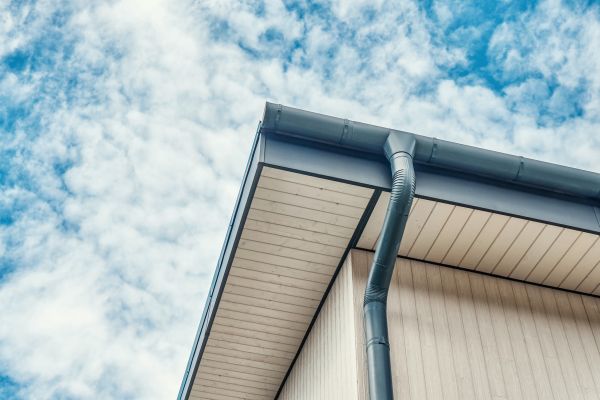Gutter Fascia Repair in Saint Johns
