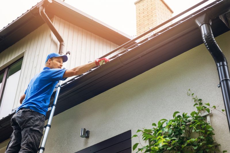 Gutter Maintenance in Saint Johns